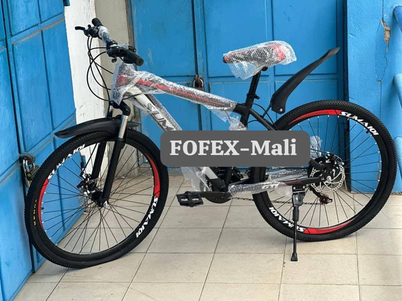 Vélo adulte