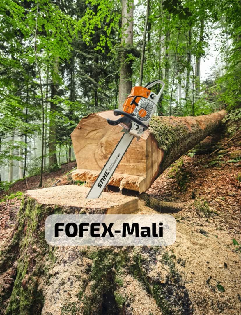 Tronçonneuse STIHL MS 20