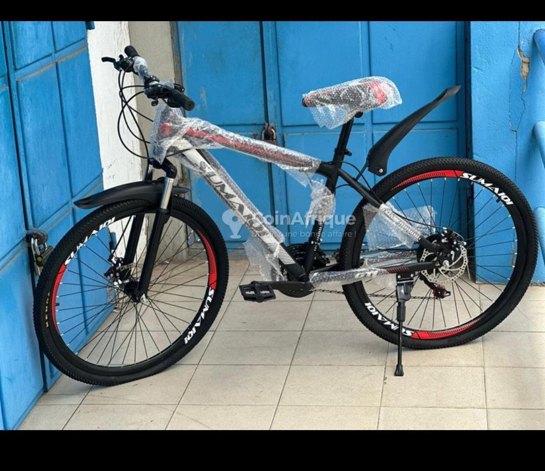 Vélo adulte